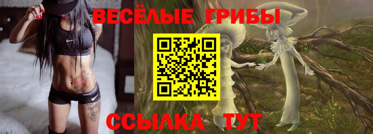 Галлюциногенные грибы Cubensis Киров