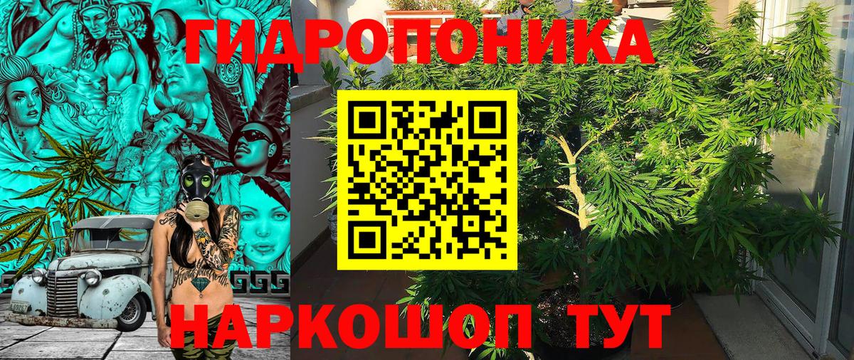 Киров  Канабис MAZAR  Вход с VPN  Каннабис тримм  Марихуана сатива 
